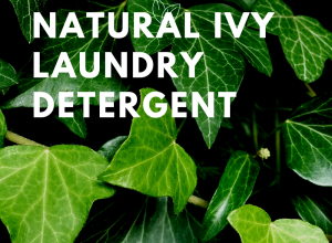 Natural Ivy Laundry Detergent