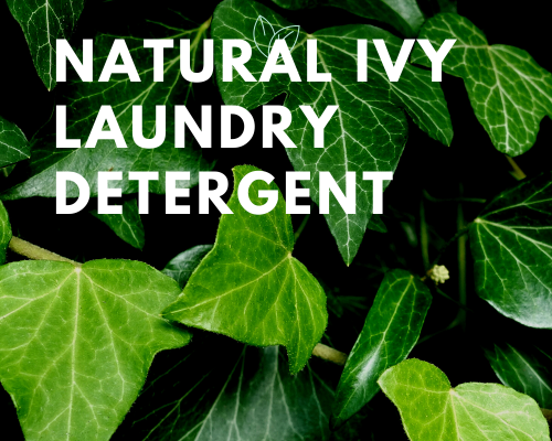 Natural Ivy Laundry Detergent