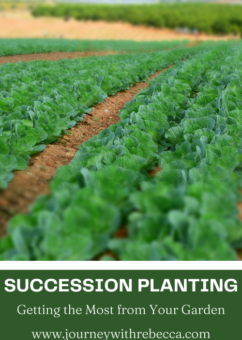 SUCCESSION PLANTING pin1