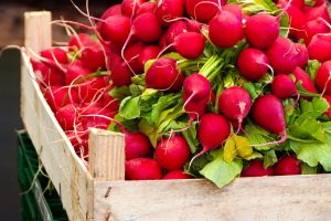 radish, vegetables, food-5116751.jpg